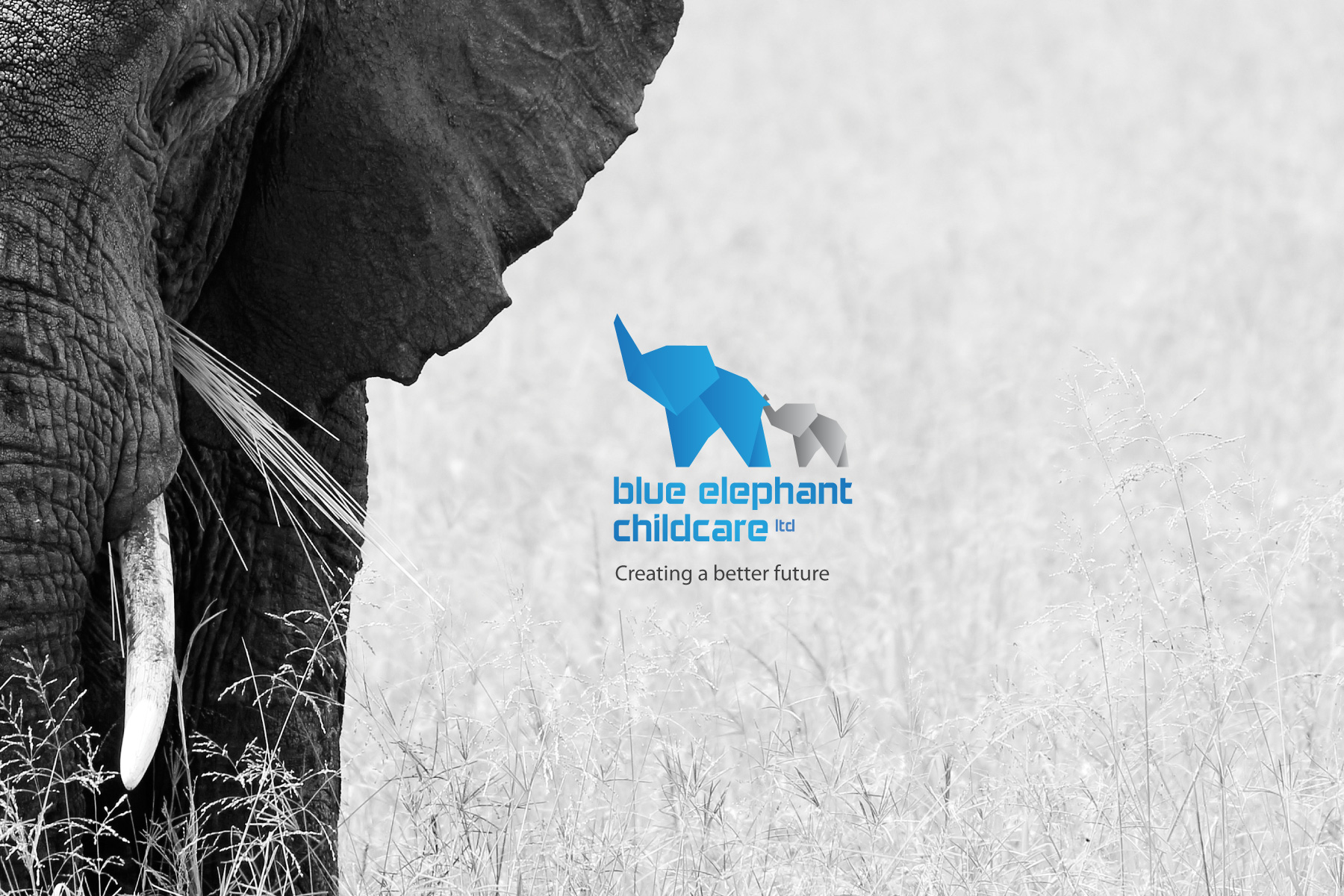 Blue Elephant Childcare website